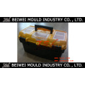 Experienced Customized Injectionplastic Toolbox Mould